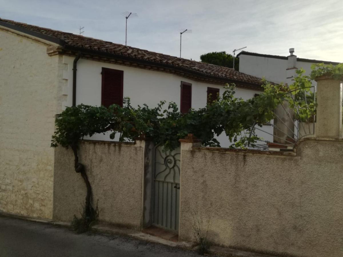 B&B Capo Le Vigne シローロ エクステリア 写真