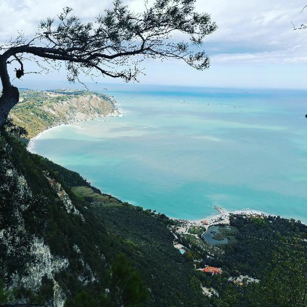 B&B Capo Le Vigne シローロ エクステリア 写真